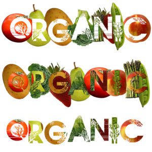 Organic Food Image