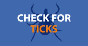 Check for Ticks